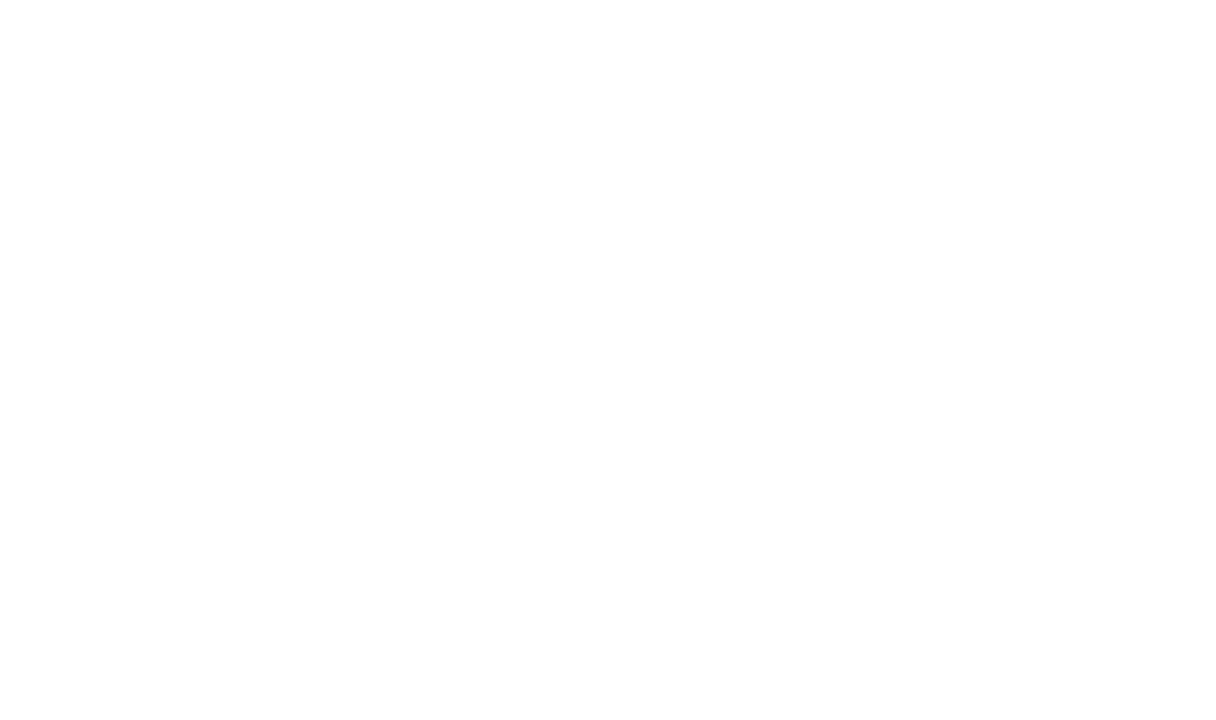 Bizclub